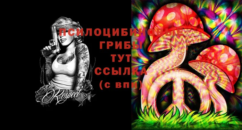 Псилоцибиновые грибы Cubensis  закладка  Лангепас 